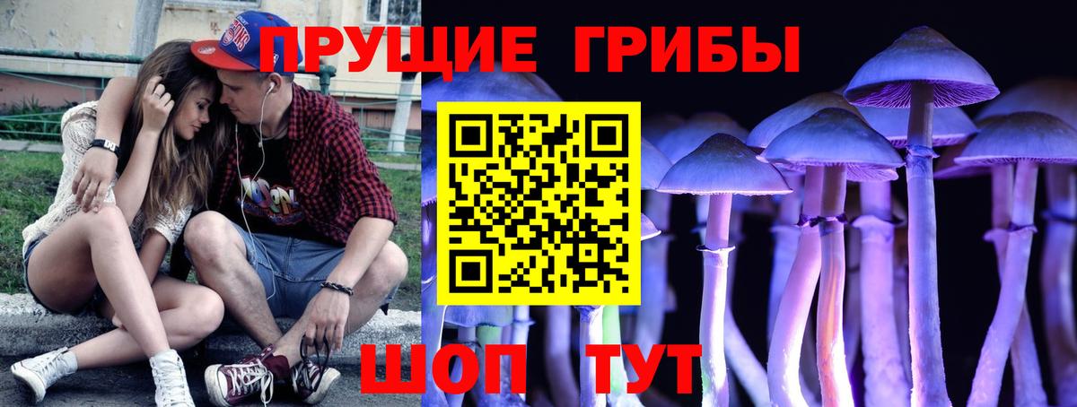 Назарово  закладка  Вход с VPN  Псилоцибиновые грибы Magic Shrooms 