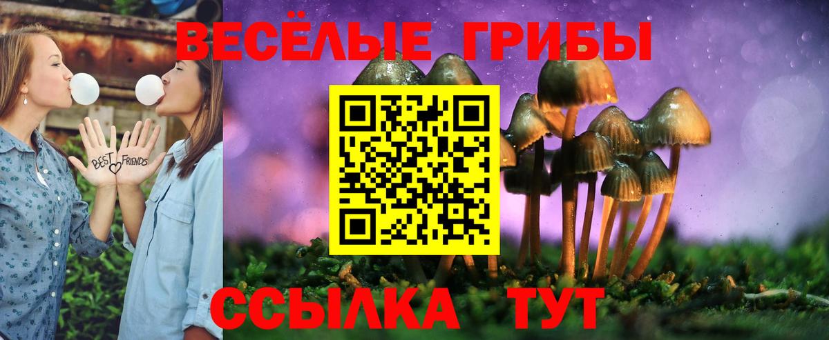 Мефедрон   Назарово  ЭКСТАЗИ  Вход с VPN  ГАШ  Гашиш  Cocaine  Канабис 
